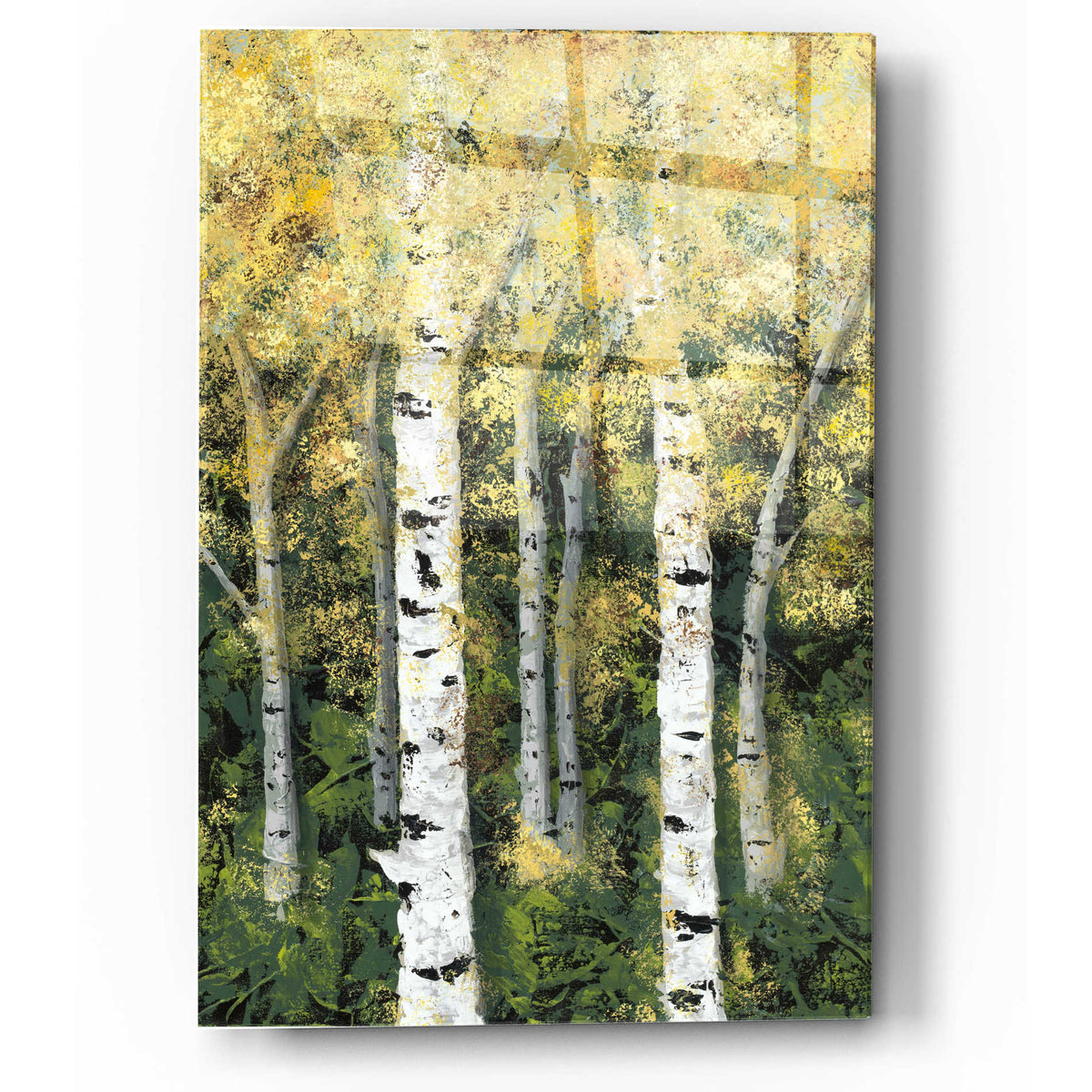 Epic Art 'Birch Treeline II' by Jade Reynolds, Acrylic Glass Wall Art