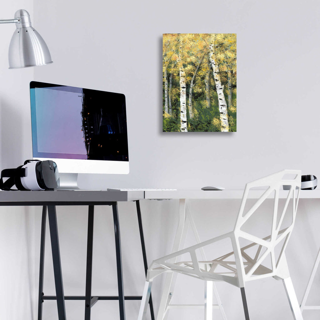 Epic Art 'Birch Treeline III' by Jade Reynolds, Acrylic Glass Wall Art,12x16