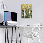Epic Art 'Birch Treeline III' by Jade Reynolds, Acrylic Glass Wall Art,12x16