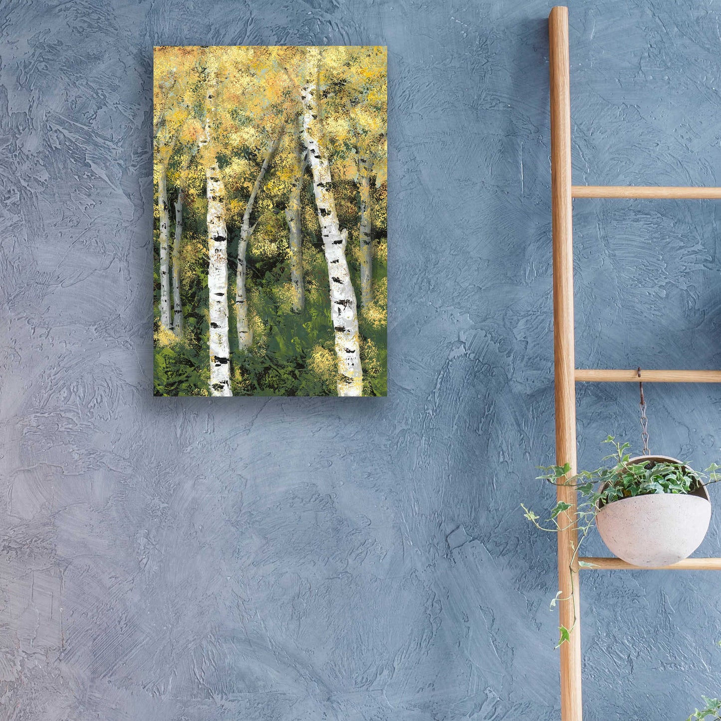 Epic Art 'Birch Treeline III' by Jade Reynolds, Acrylic Glass Wall Art,16x24