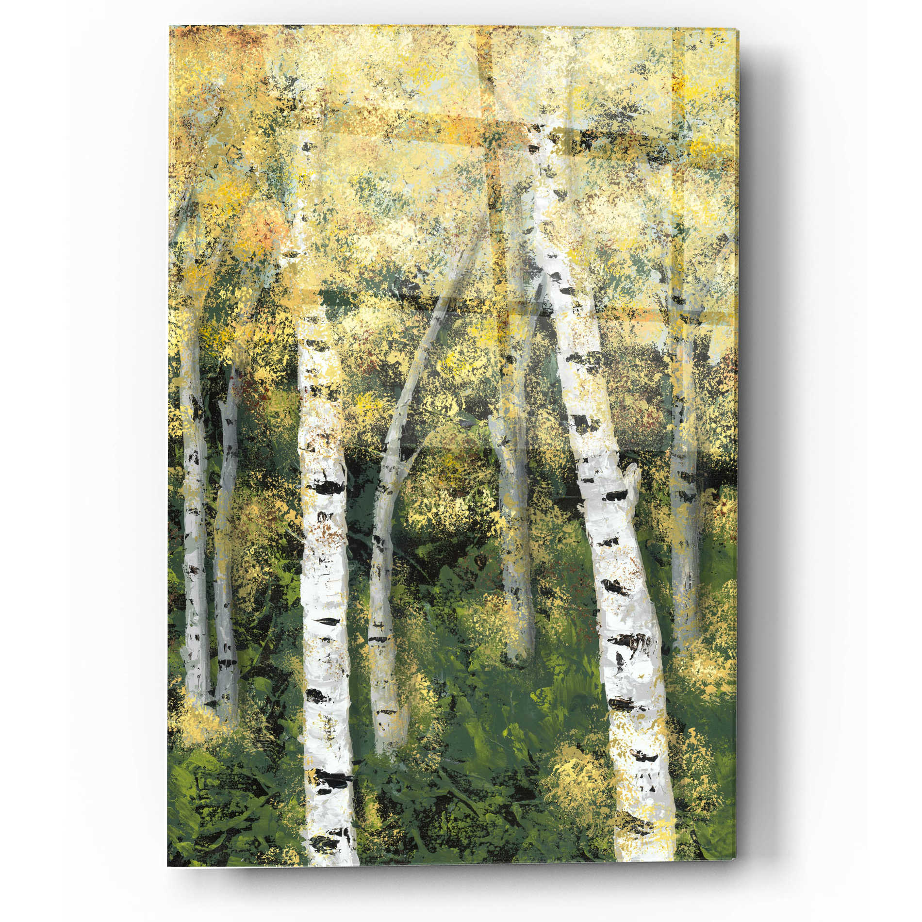 Epic Art 'Birch Treeline III' by Jade Reynolds, Acrylic Glass Wall Art