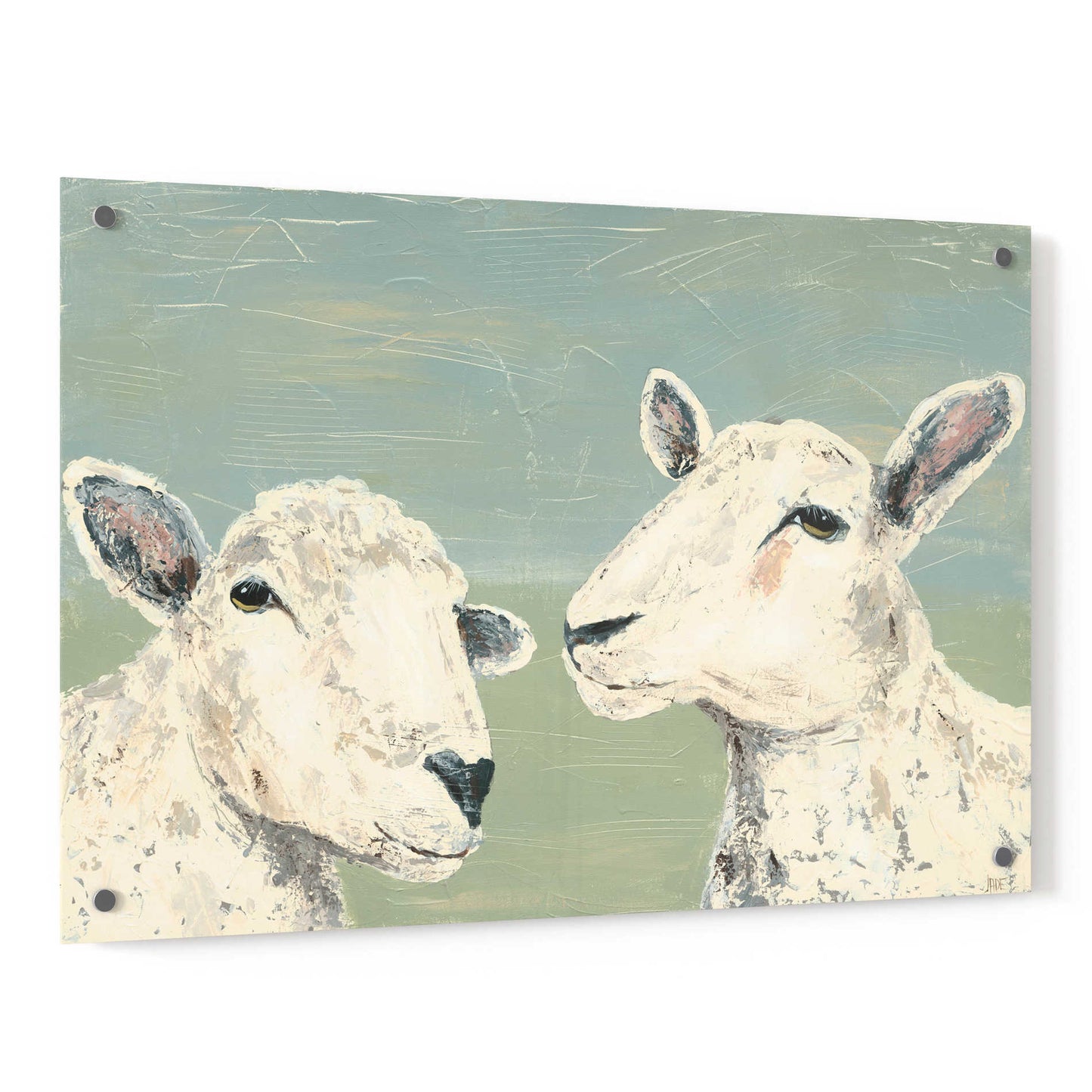 Epic Art 'Bashful Sheep I' by Jade Reynolds, Acrylic Glass Wall Art,36x24