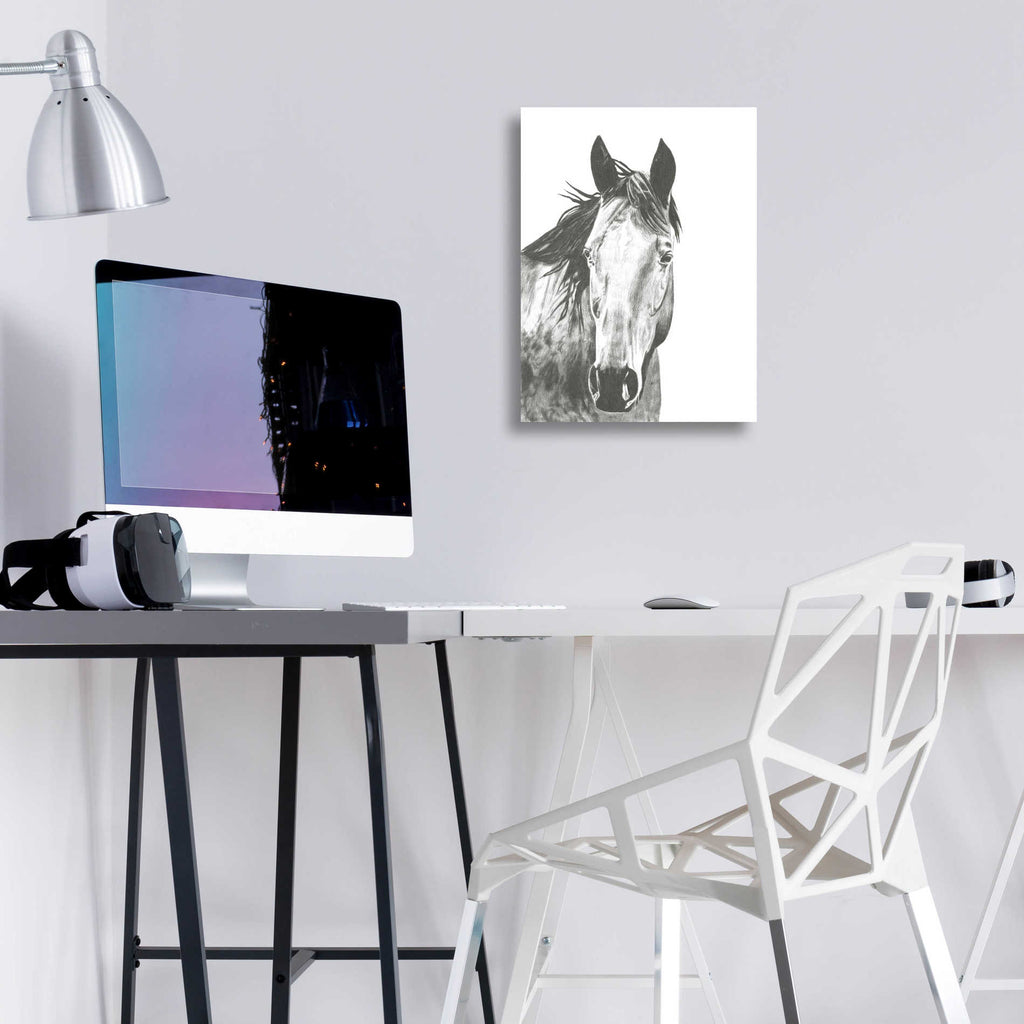 Epic Art 'Wildlife Snapshot Horse I' by Naomi McCavitt, Acrylic Glass Wall Art,12x16