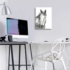Epic Art 'Wildlife Snapshot Horse I' by Naomi McCavitt, Acrylic Glass Wall Art,12x16