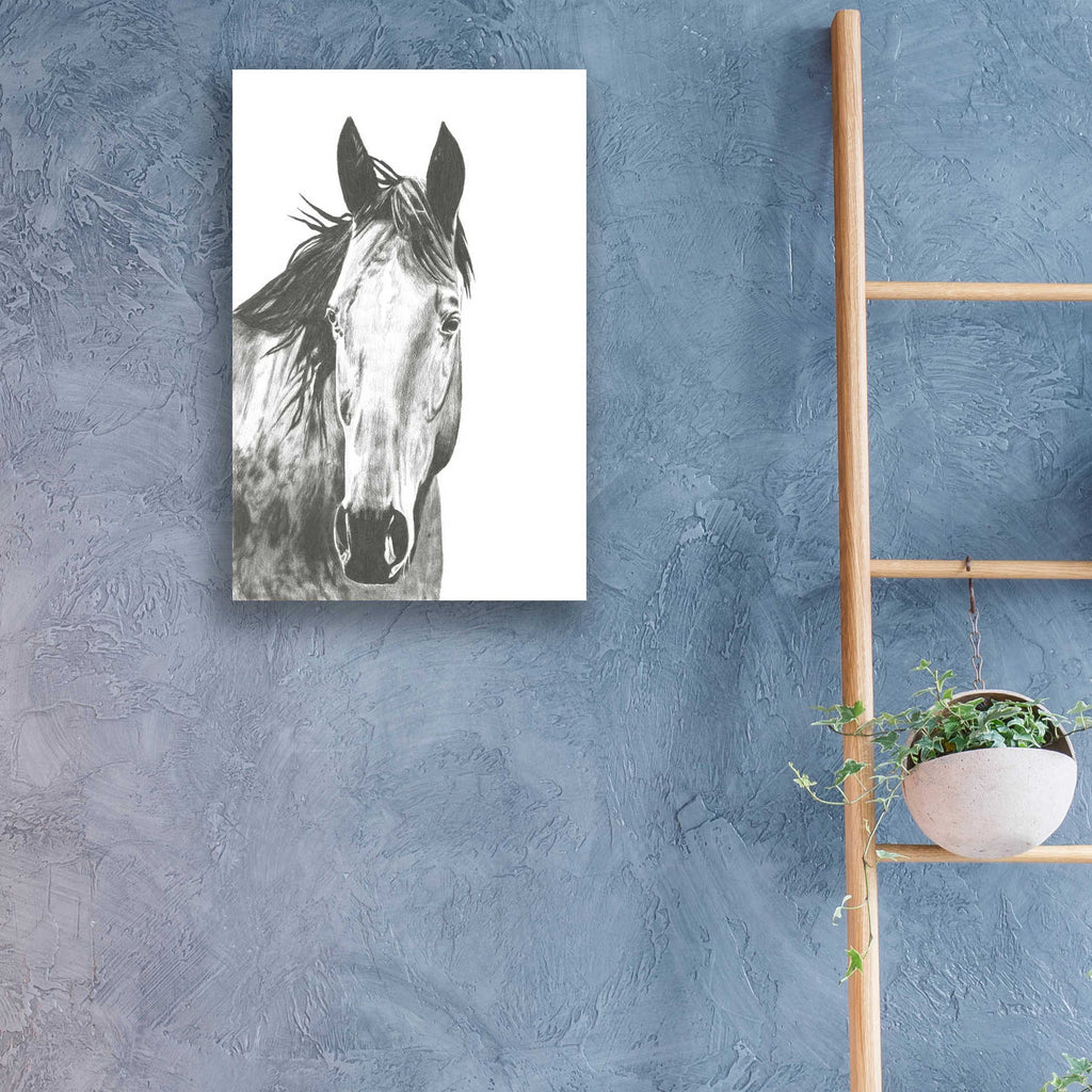 Epic Art 'Wildlife Snapshot Horse I' by Naomi McCavitt, Acrylic Glass Wall Art,16x24