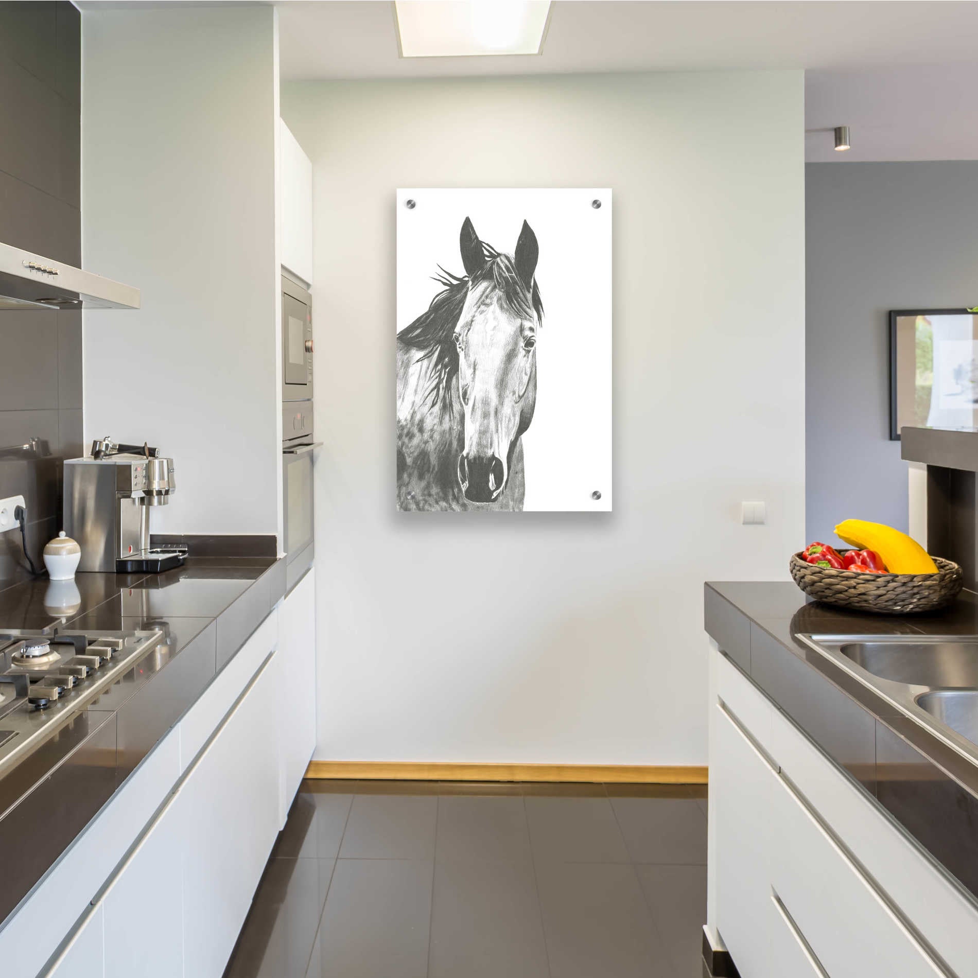 Epic Art 'Wildlife Snapshot Horse I' by Naomi McCavitt, Acrylic Glass Wall Art,24x36