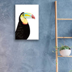Epic Art 'Watercolor Toucan' by Naomi McCavitt, Acrylic Glass Wall Art,16x24