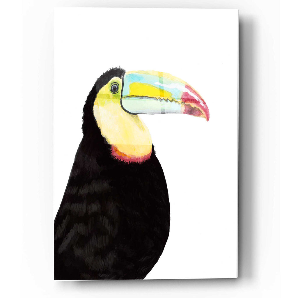Epic Art 'Watercolor Toucan' by Naomi McCavitt, Acrylic Glass Wall Art