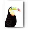 Epic Art 'Watercolor Toucan' by Naomi McCavitt, Acrylic Glass Wall Art