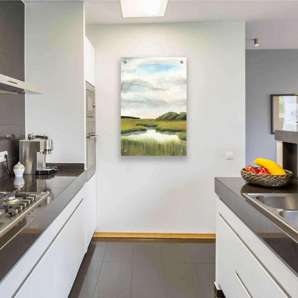 Epic Art 'Marsh Landscapes II' by Naomi McCavitt, Acrylic Glass Wall Art,24x36