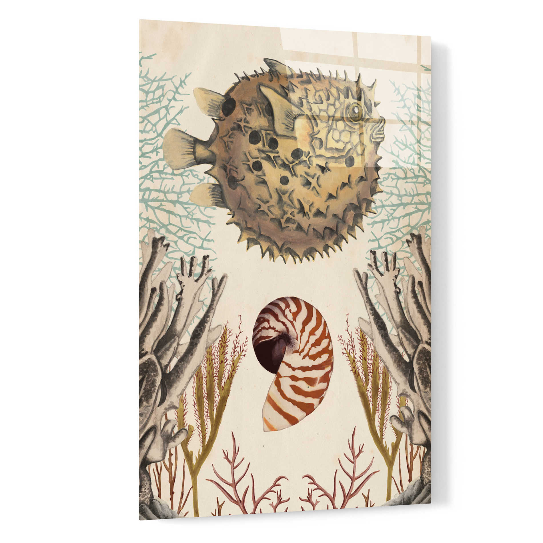 Epic Art 'Antiquarian Menagerie-Puffer Fish' by Naomi McCavitt, Acrylic Glass Wall Art,16x24