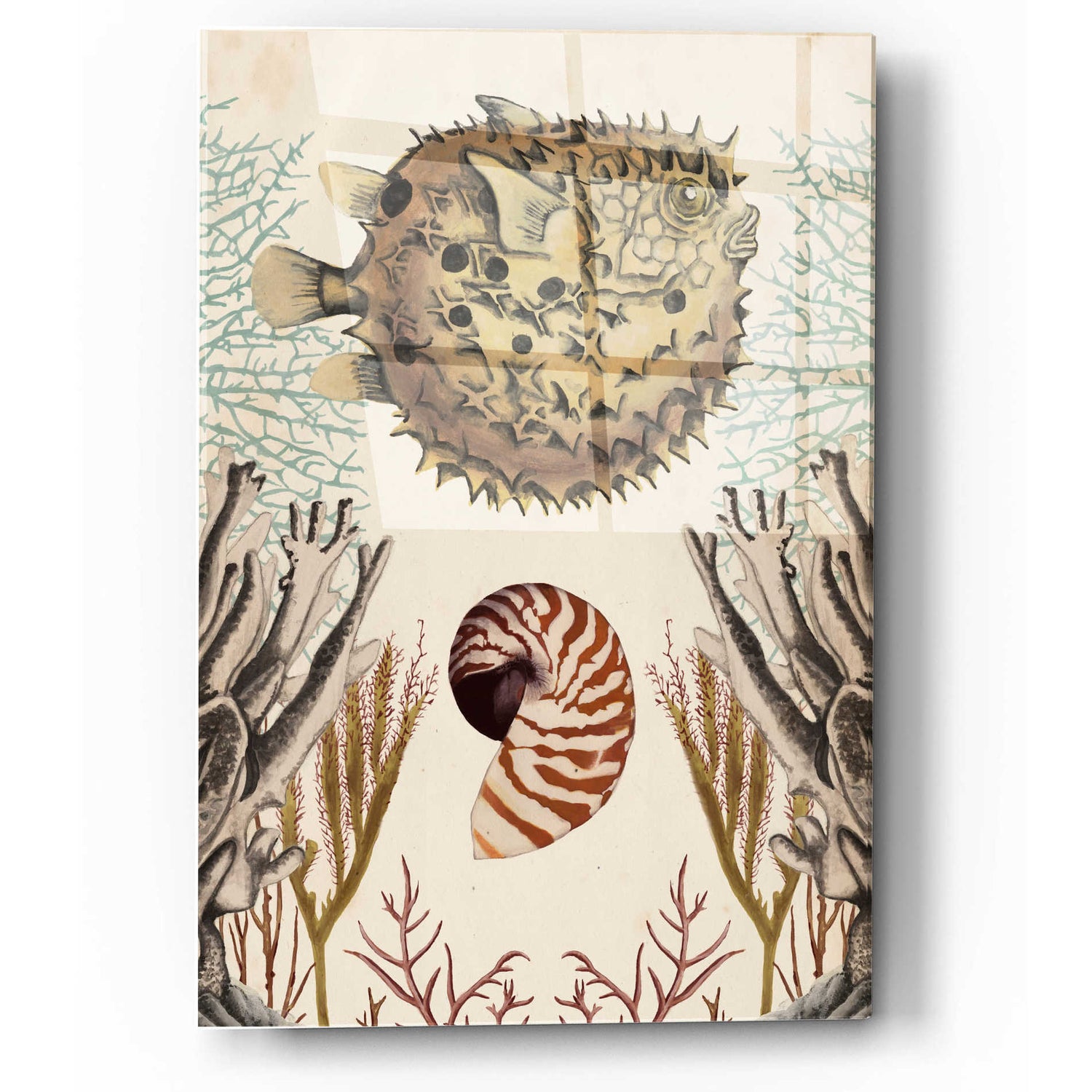 Epic Art 'Antiquarian Menagerie-Puffer Fish' by Naomi McCavitt, Acrylic Glass Wall Art