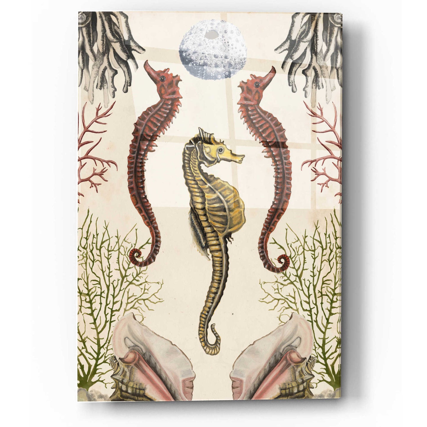 Epic Art 'Antiquarian Menagerie-Seahorse' by Naomi McCavitt, Acrylic Glass Wall Art,12x16