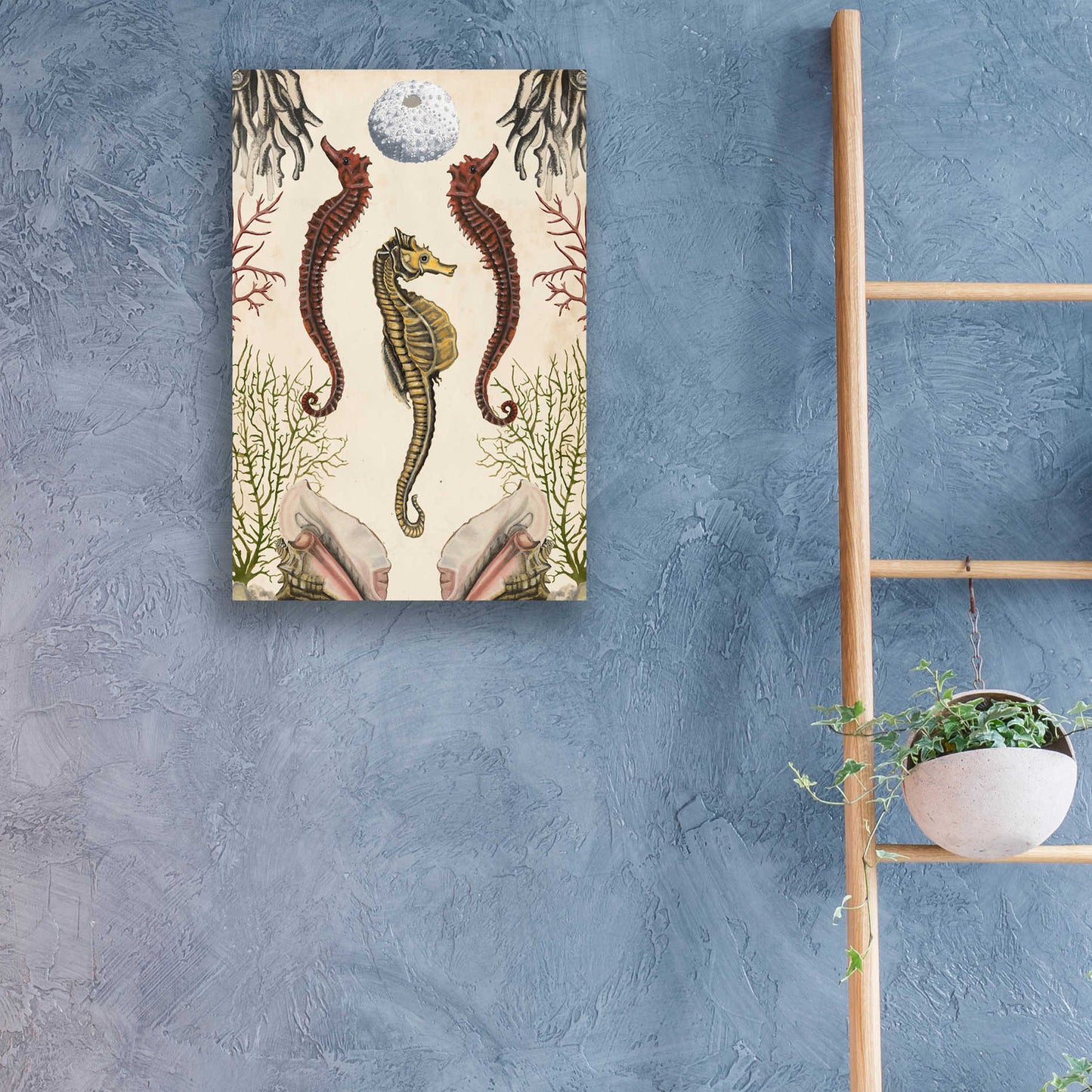 Epic Art 'Antiquarian Menagerie-Seahorse' by Naomi McCavitt, Acrylic Glass Wall Art,16x24