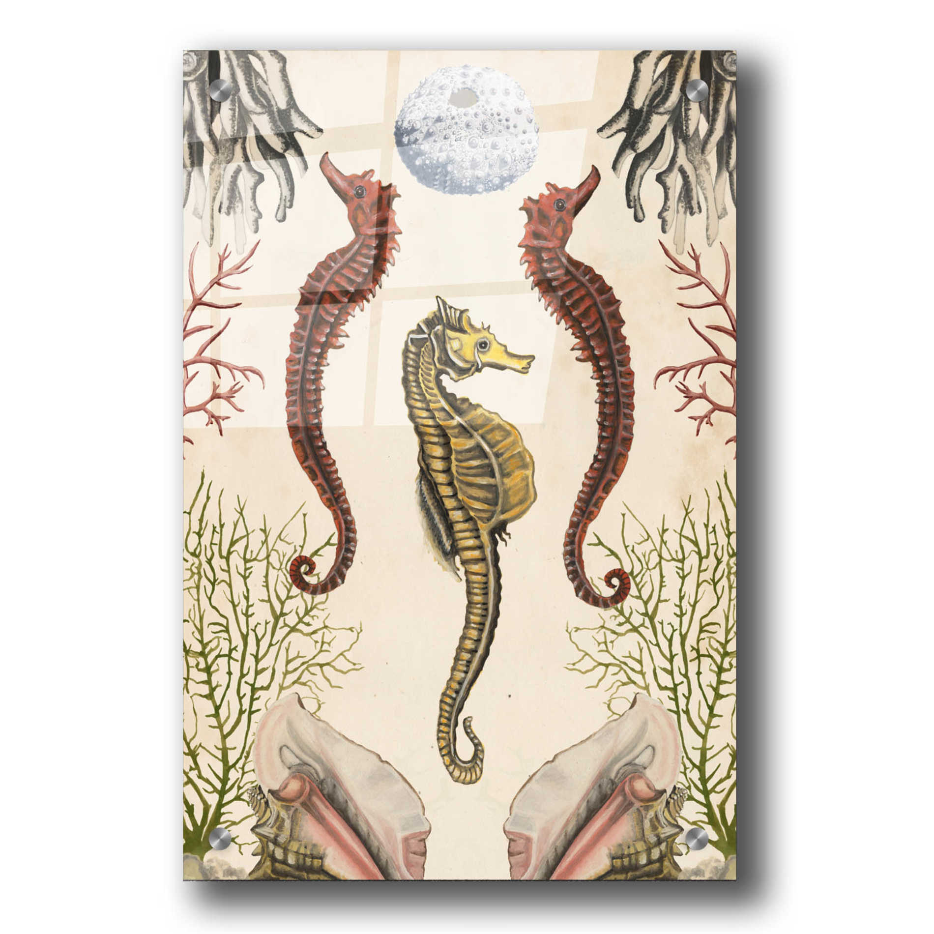 Epic Art 'Antiquarian Menagerie-Seahorse' by Naomi McCavitt, Acrylic Glass Wall Art,24x36