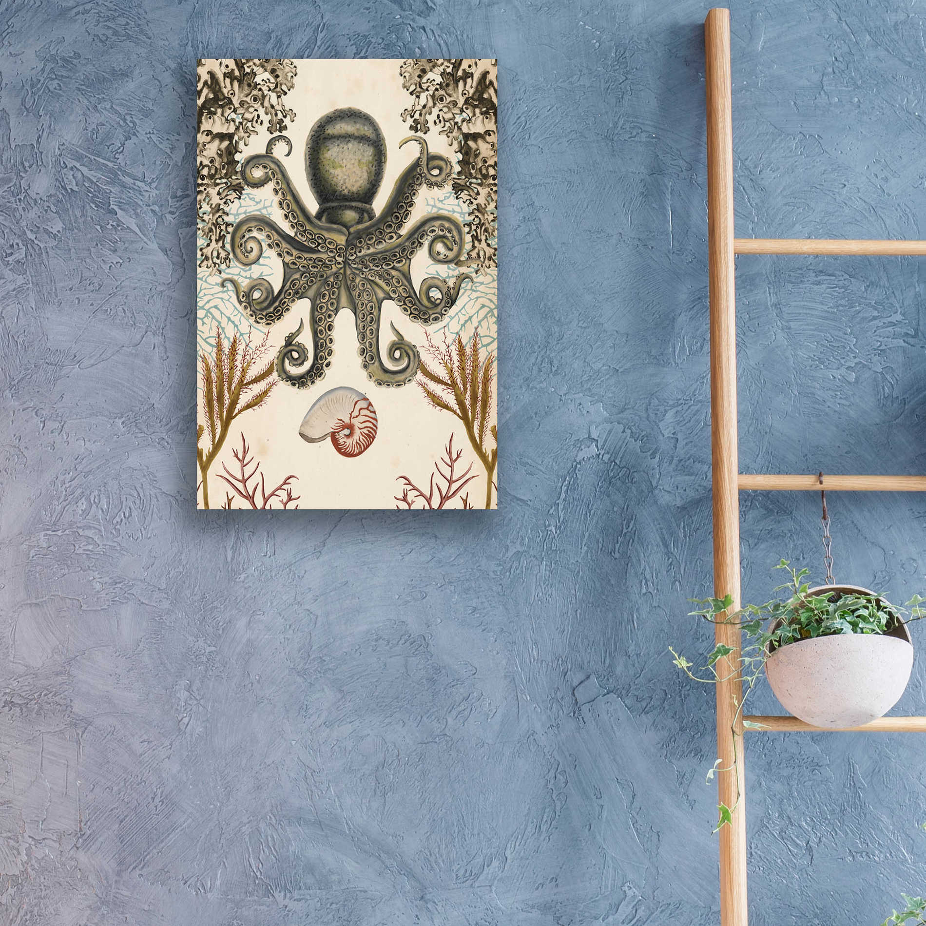 Epic Art 'Antiquarian Menagerie-Octopus' by Naomi McCavitt, Acrylic Glass Wall Art,16x24