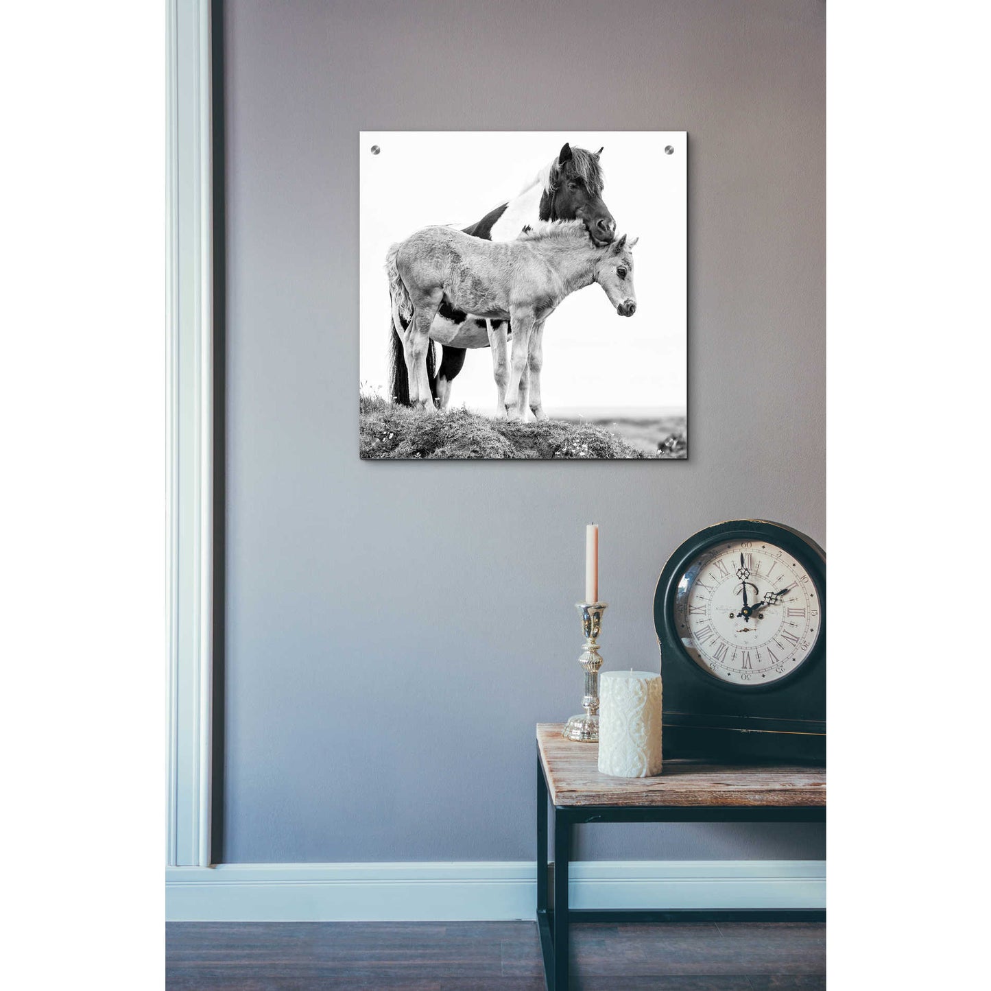 Epic Art 'BandW Horses I' by PH Burchett, Acrylic Glass Wall Art,24x24