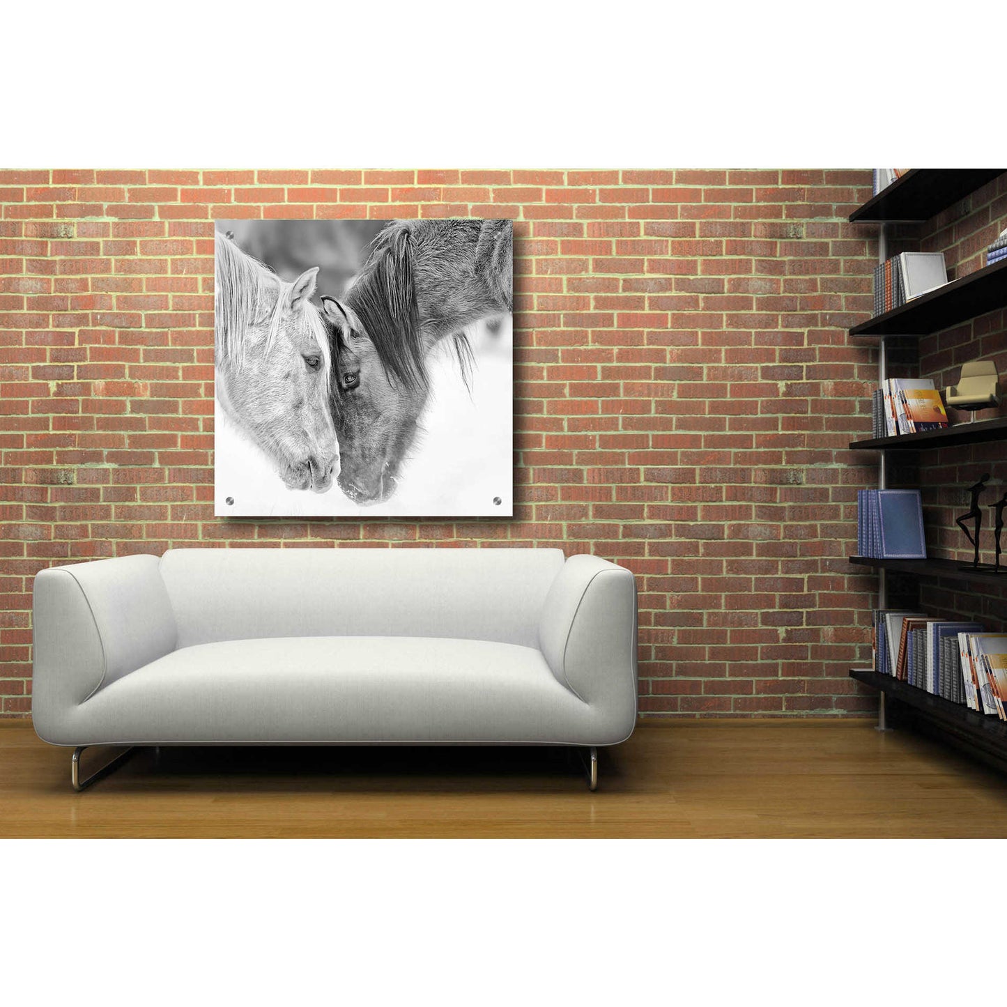 Epic Art 'BandW Horses VII' by PH Burchett, Acrylic Glass Wall Art,36x36