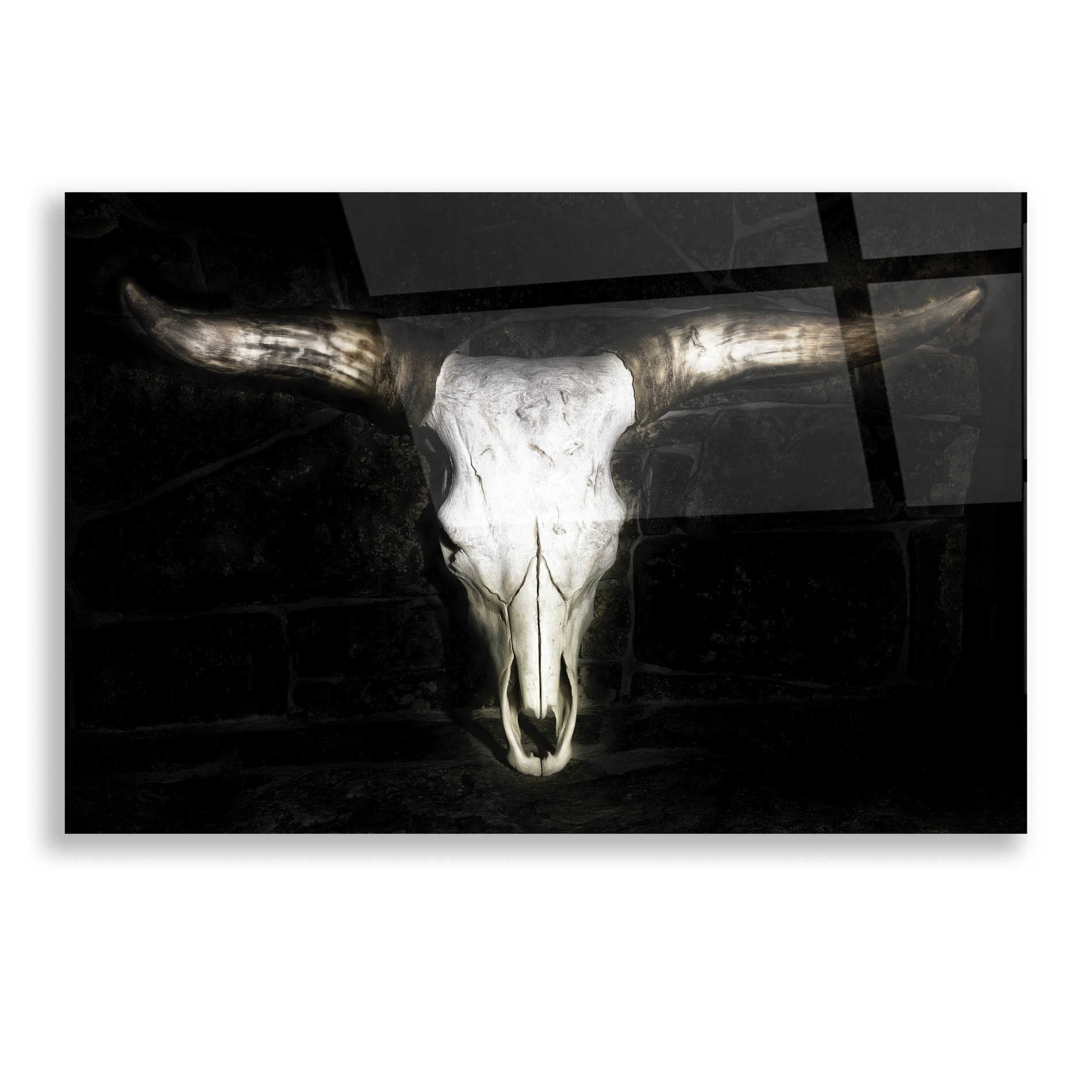 Epic Art 'Cow Skull' by PH Burchett, Acrylic Glass Wall Art,16x12