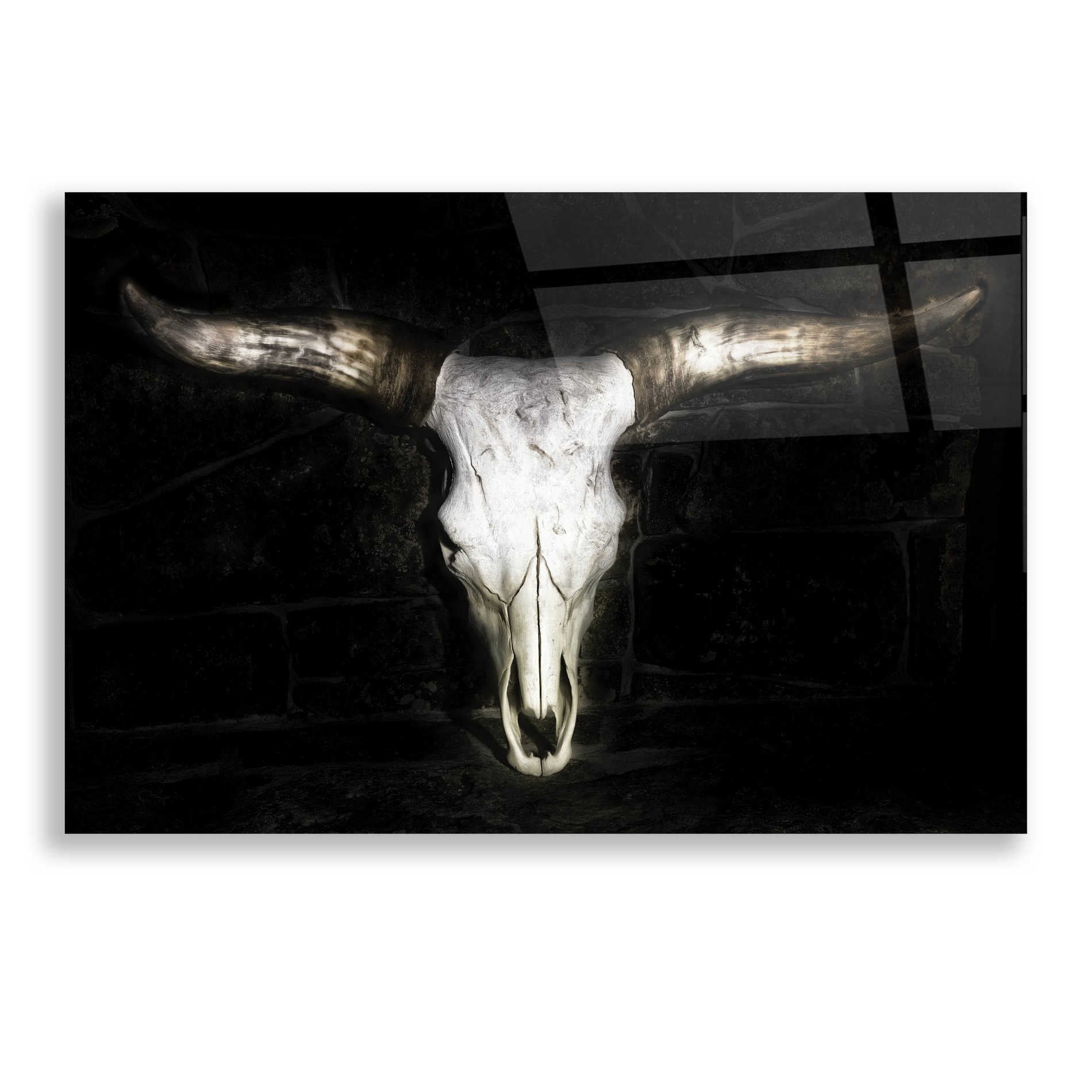 Epic Art 'Cow Skull' by PH Burchett, Acrylic Glass Wall Art,24x16