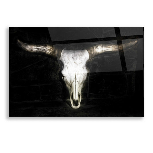 Epic Art 'Cow Skull' by PH Burchett, Acrylic Glass Wall Art