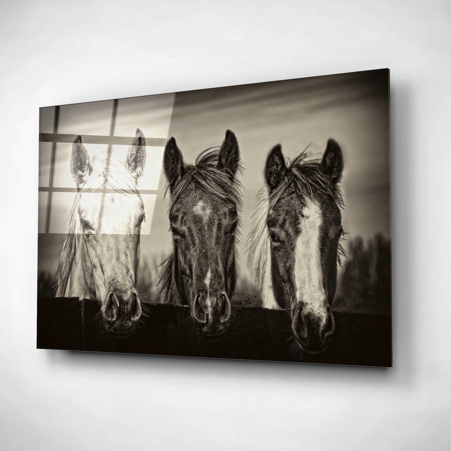 Epic Art 'Three Amigos I' by PH Burchett, Acrylic Glass Wall Art,16x12
