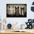 Epic Art 'Three Amigos I' by PH Burchett, Acrylic Glass Wall Art,16x12