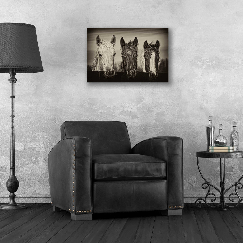 Epic Art 'Three Amigos I' by PH Burchett, Acrylic Glass Wall Art,24x16