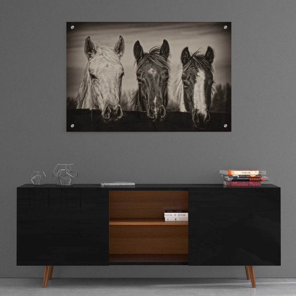 Epic Art 'Three Amigos I' by PH Burchett, Acrylic Glass Wall Art,36x24