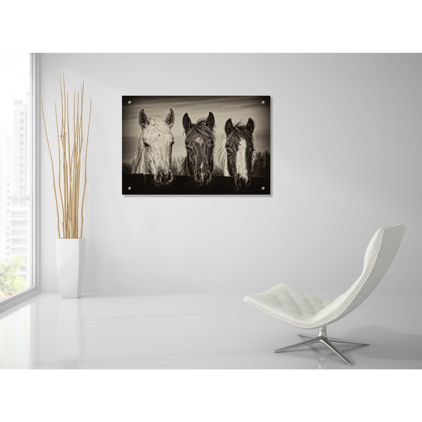 Epic Art 'Three Amigos I' by PH Burchett, Acrylic Glass Wall Art,36x24