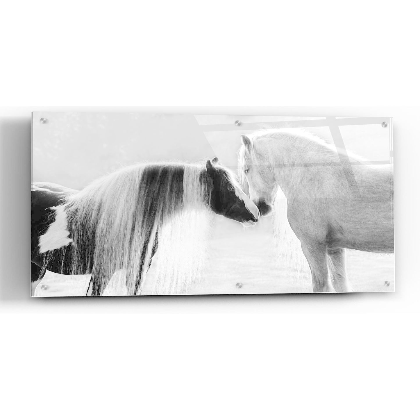 Epic Art 'Collection of Horses III' by PH Burchett, Acrylic Glass Wall Art,24x12
