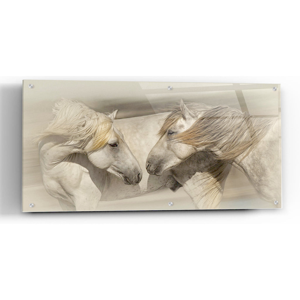 Epic Art 'Old Acquaintances' by PH Burchett, Acrylic Glass Wall Art