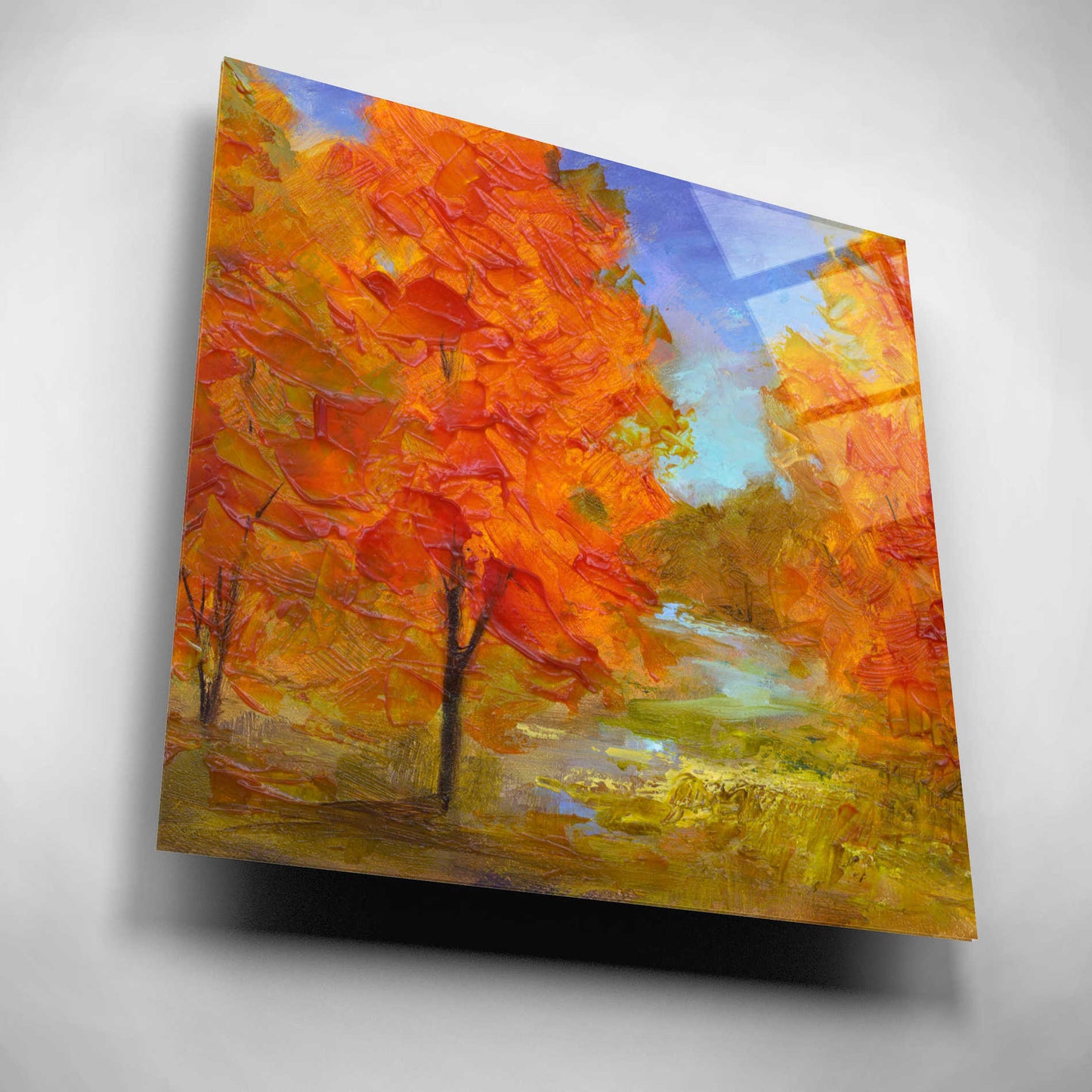 Epic Art 'Burst of Autumn Color' by Sheila Finch, Acrylic Glass Wall Art,12x12