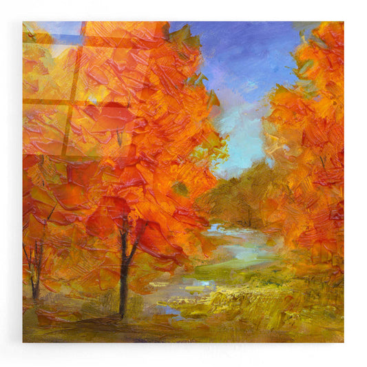 Epic Art 'Burst of Autumn Color' by Sheila Finch, Acrylic Glass Wall Art