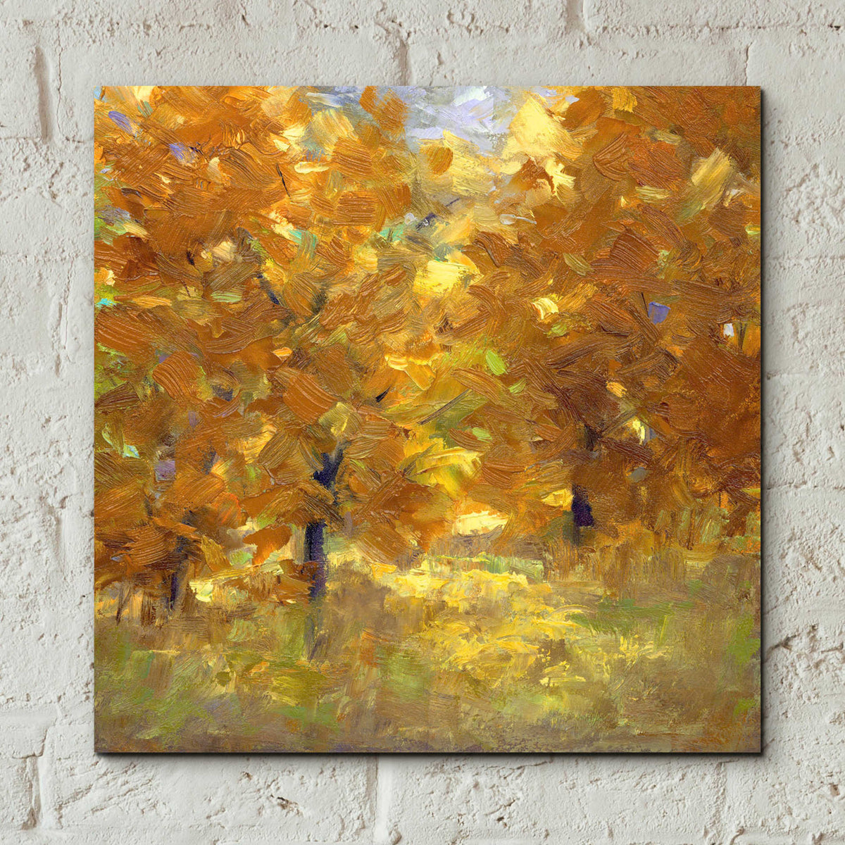 Epic Art 'Cottonwoods' by Sheila Finch, Acrylic Glass Wall Art,12x12