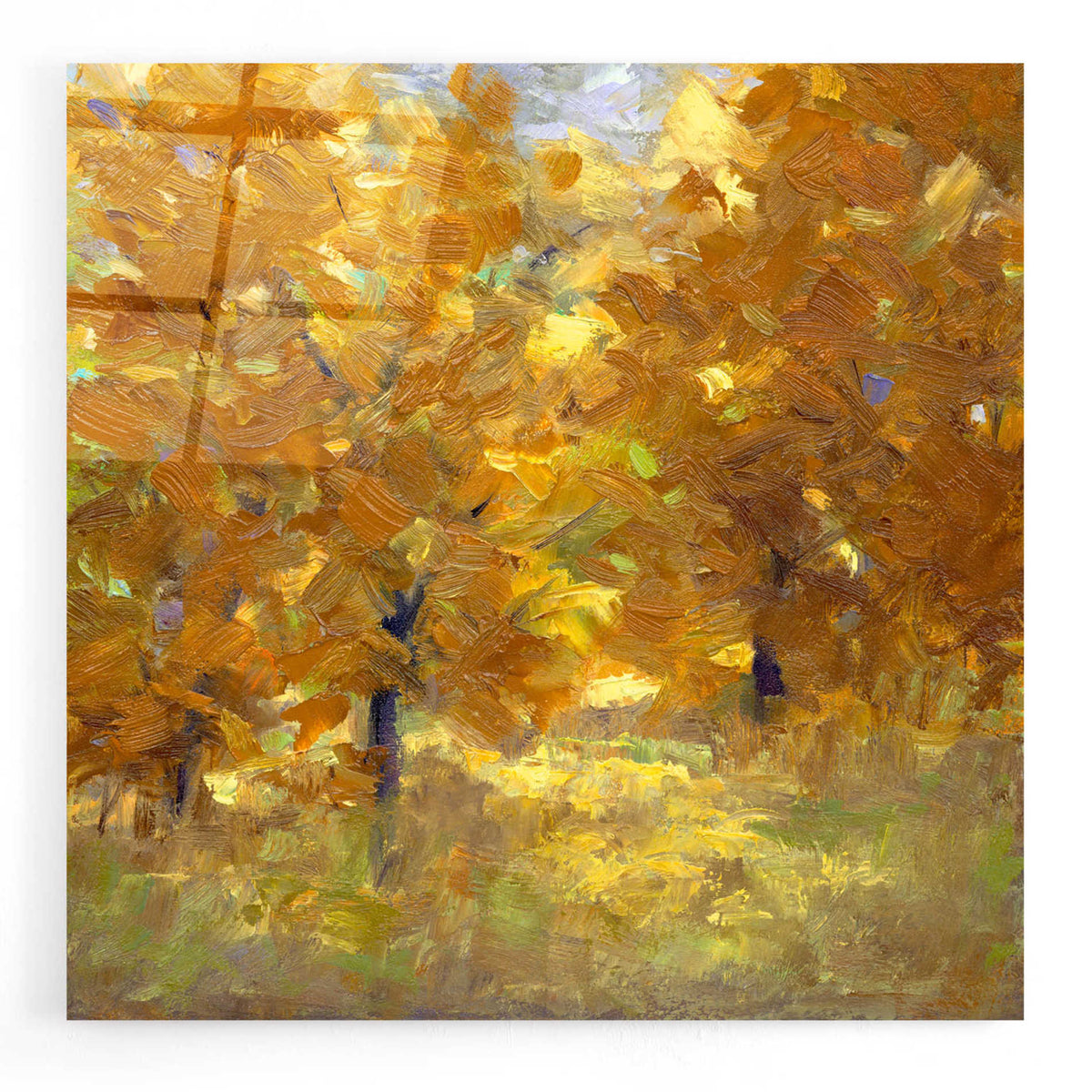 Epic Art 'Cottonwoods' by Sheila Finch, Acrylic Glass Wall Art
