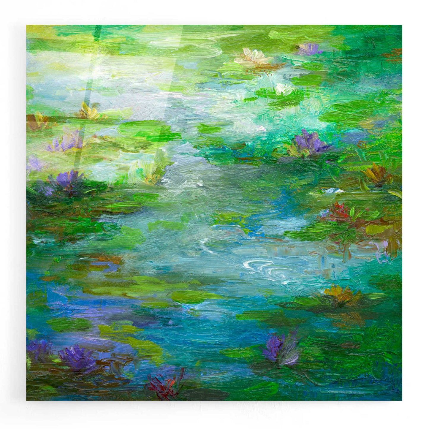 Epic Art 'Water Lily Pond #1' by Sheila Finch, Acrylic Glass Wall Art,12x12