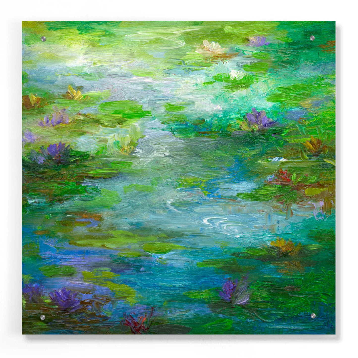 Epic Art 'Water Lily Pond #1' by Sheila Finch, Acrylic Glass Wall Art,24x24