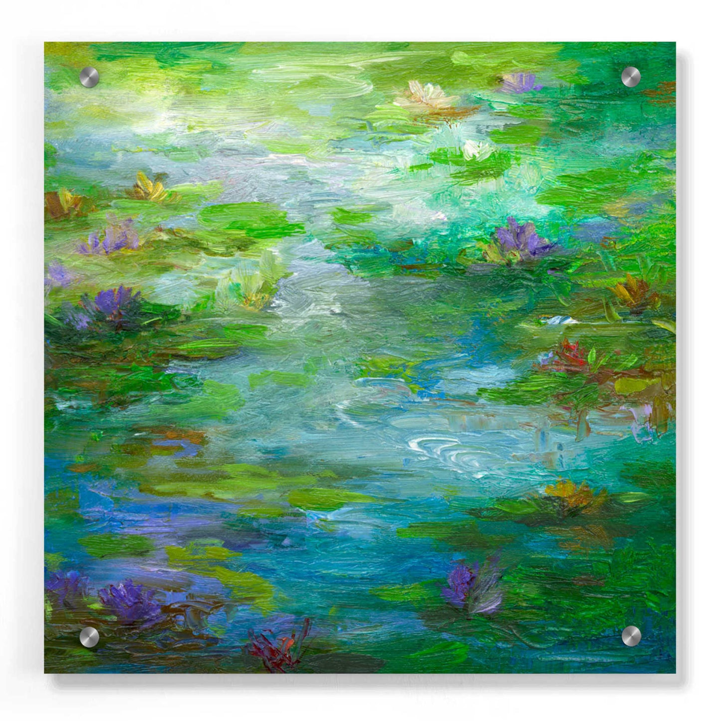 Epic Art 'Water Lily Pond #1' by Sheila Finch, Acrylic Glass Wall Art,36x36