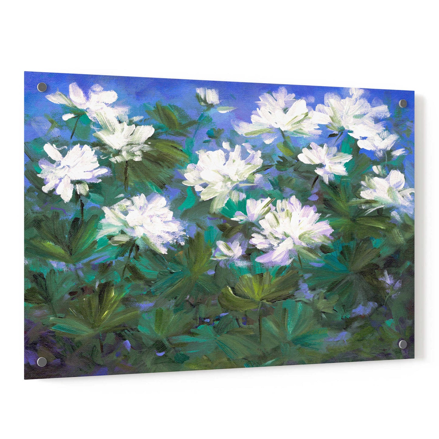 Epic Art 'Spring Flowers' by Sheila Finch, Acrylic Glass Wall Art,36x24