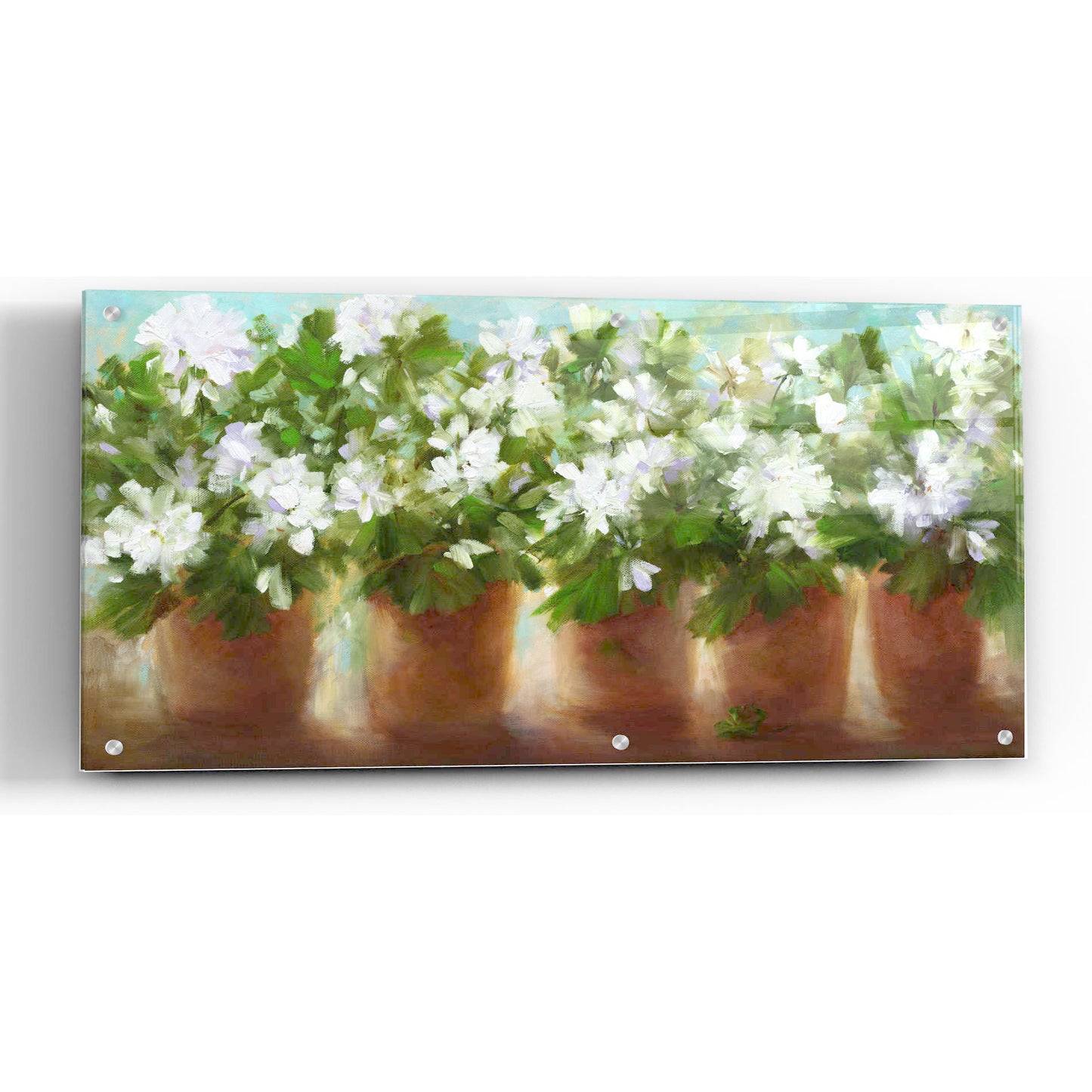 Epic Art 'In Full Bloom' by Sheila Finch, Acrylic Glass Wall Art,48x24