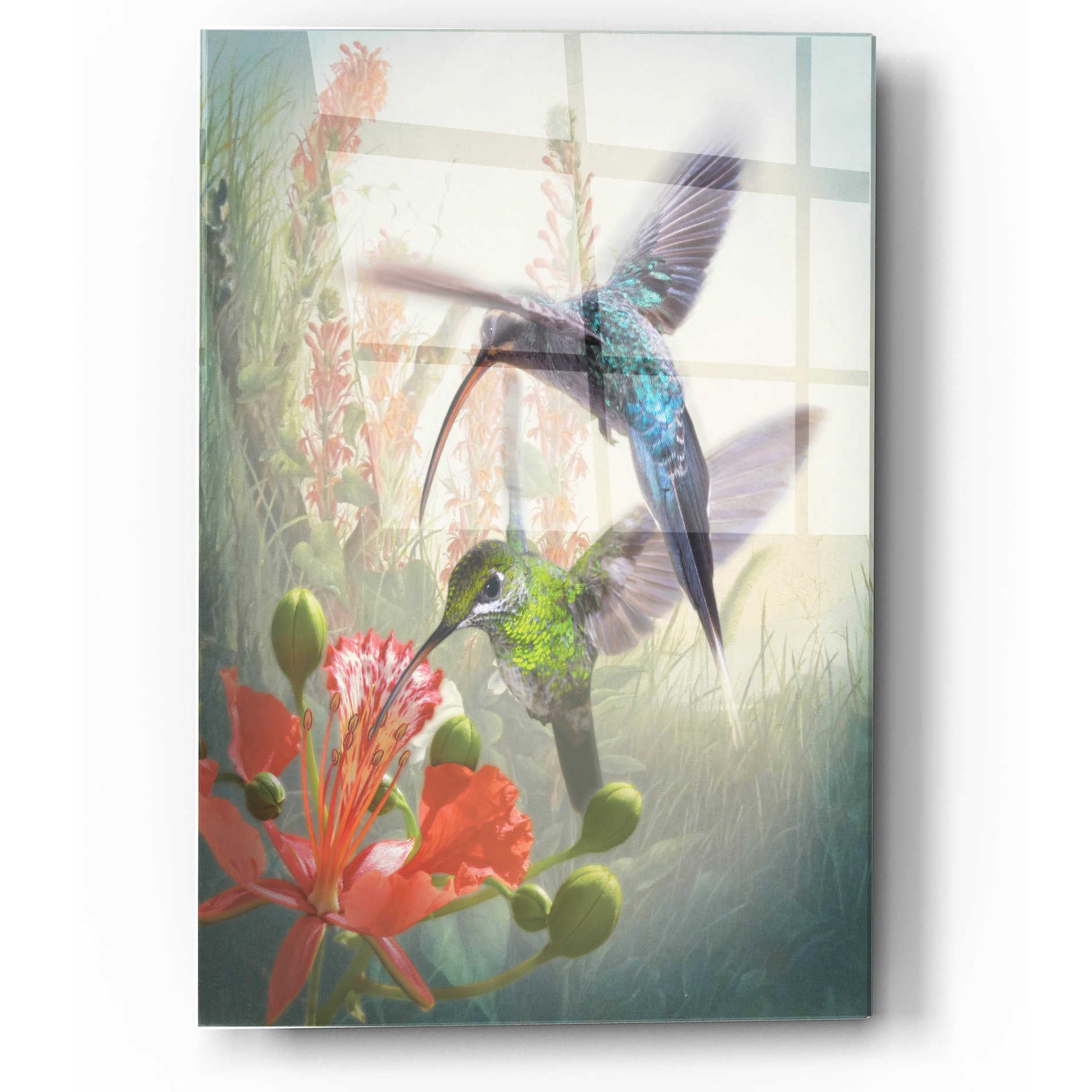 Epic Art 'Hummingbird Cycle I' by Steve Hunziker, Acrylic Glass Wall Art,12x16