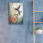 Epic Art 'Hummingbird Cycle I' by Steve Hunziker, Acrylic Glass Wall Art,16x24