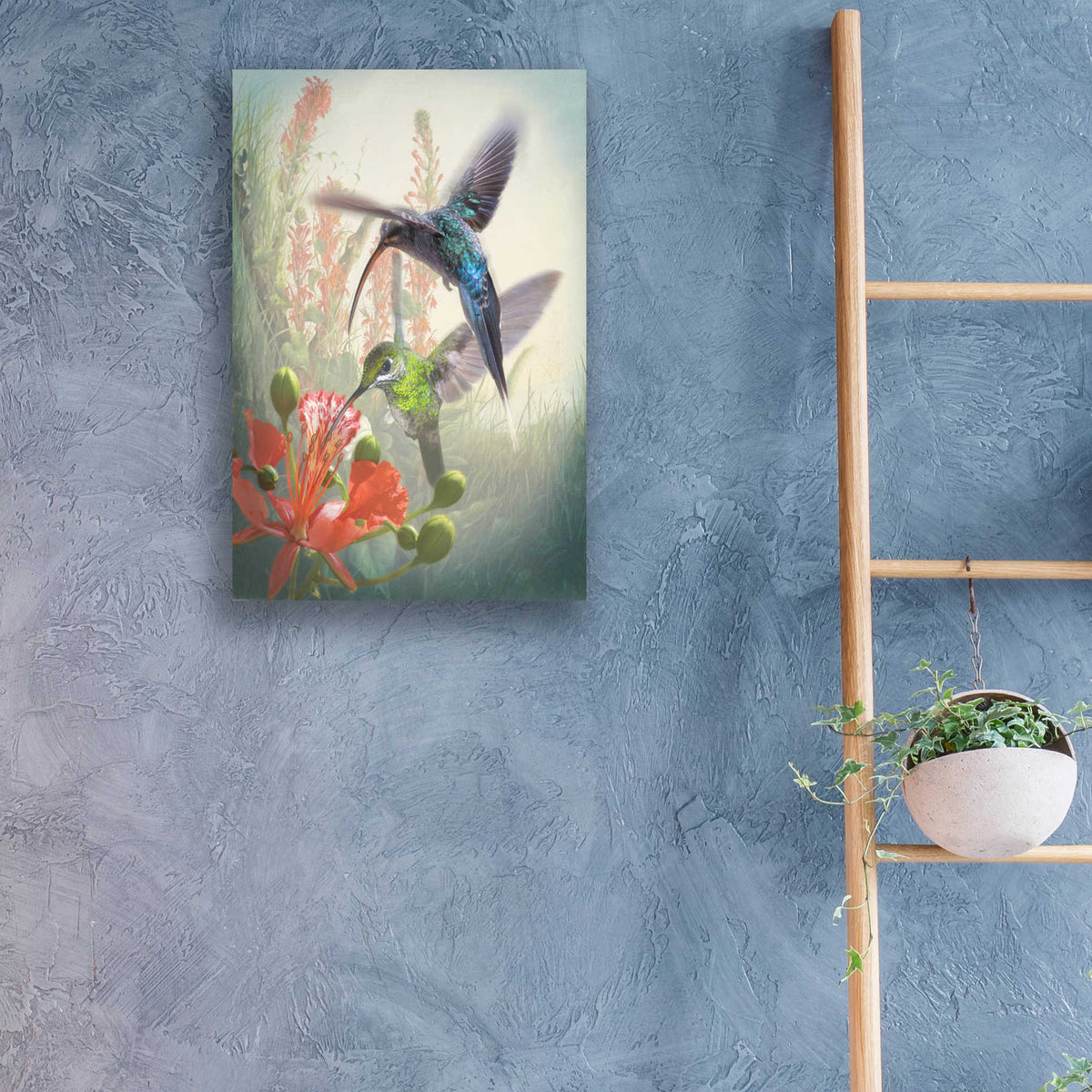 Epic Art 'Hummingbird Cycle I' by Steve Hunziker, Acrylic Glass Wall Art,16x24