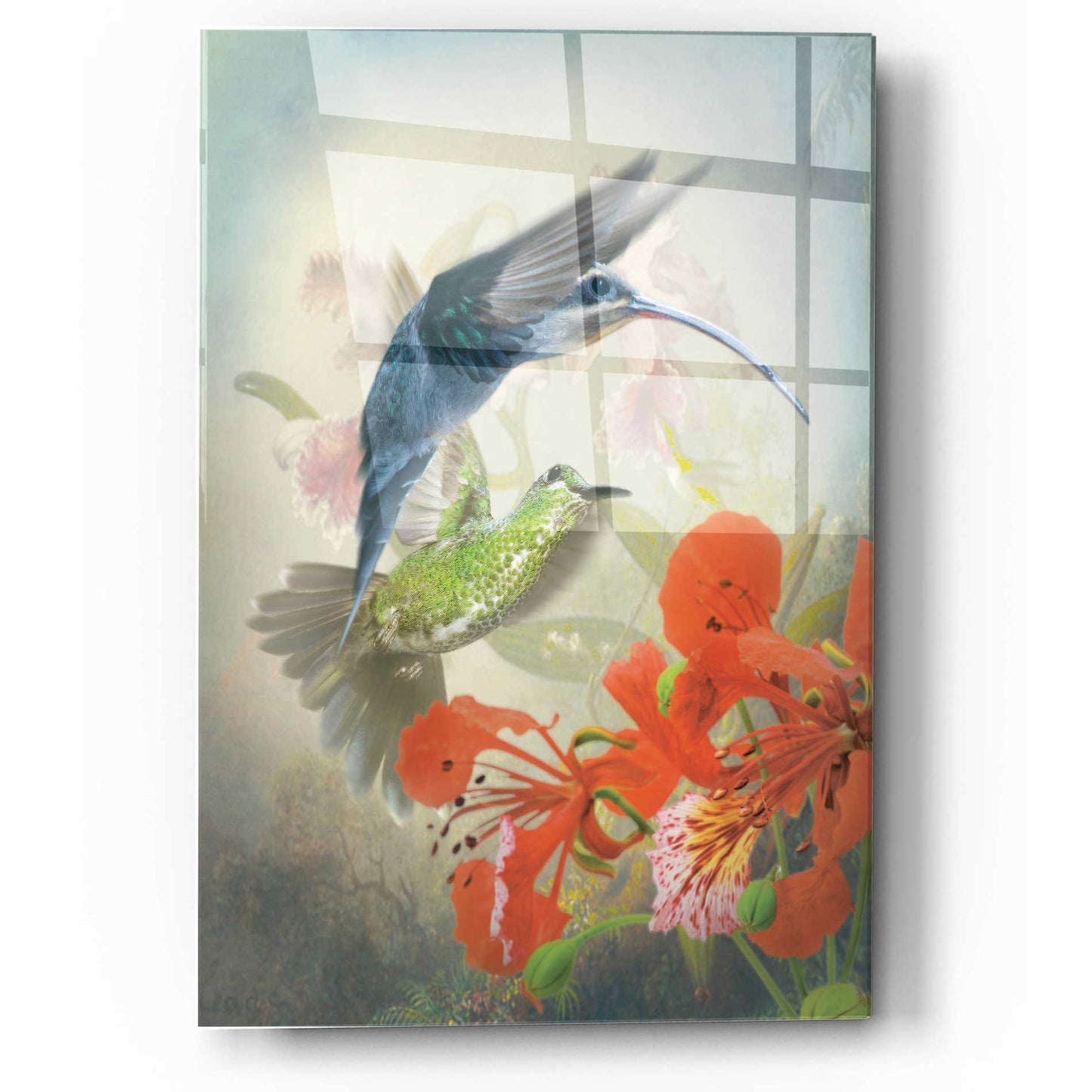 Epic Art 'Hummingbird Cycle II' by Steve Hunziker, Acrylic Glass Wall Art,12x16