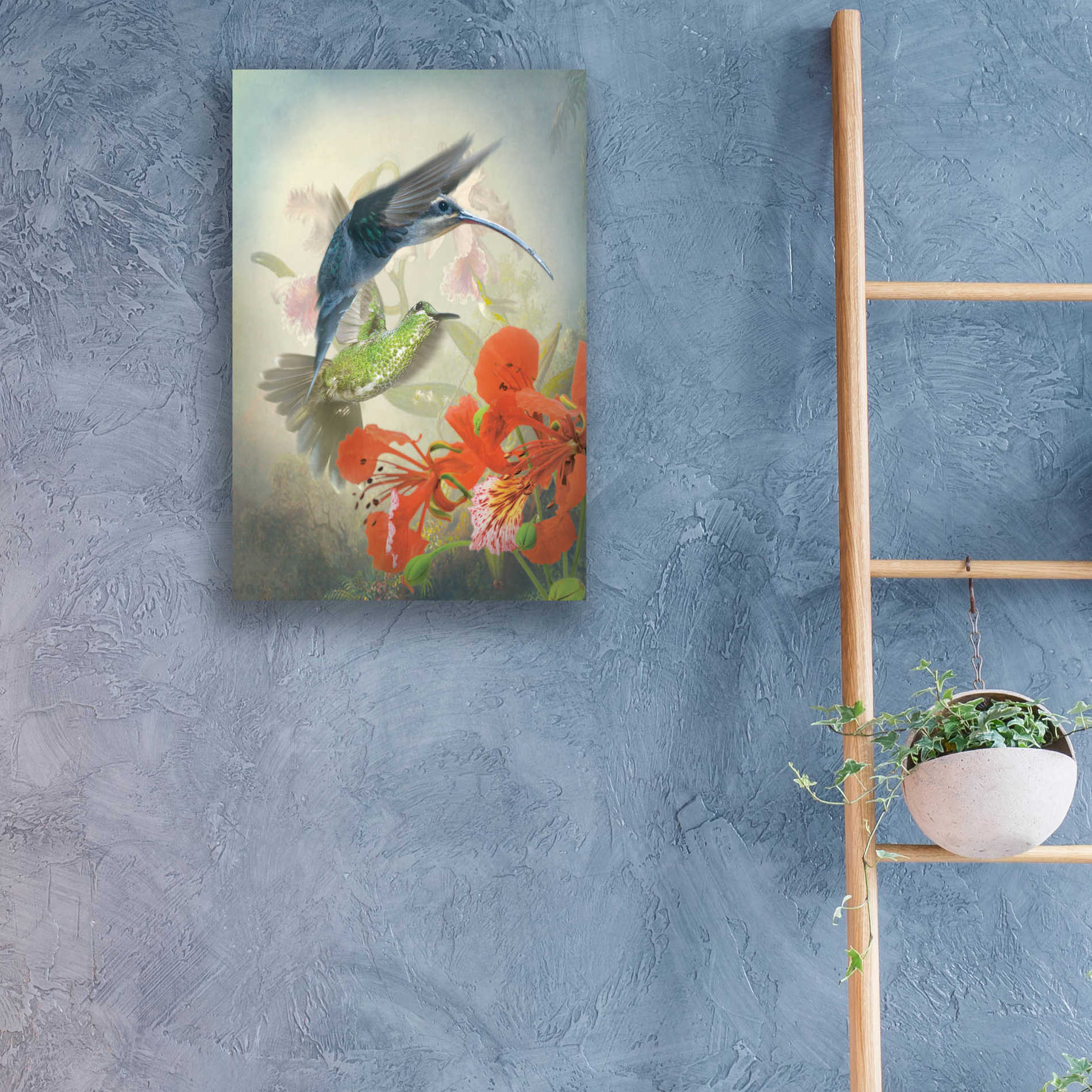 Epic Art 'Hummingbird Cycle II' by Steve Hunziker, Acrylic Glass Wall Art,16x24