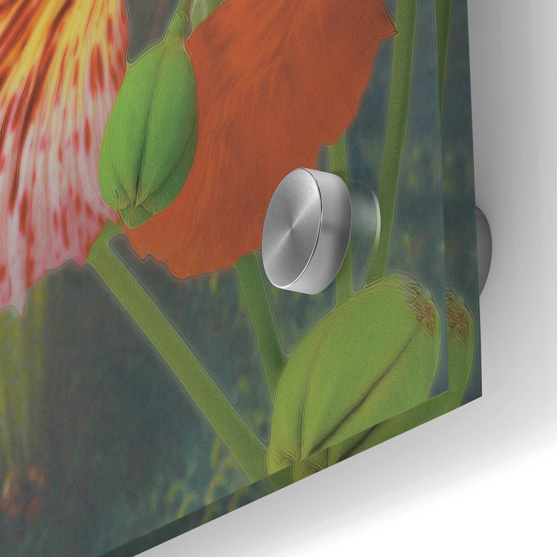 Epic Art 'Hummingbird Cycle II' by Steve Hunziker, Acrylic Glass Wall Art,24x36
