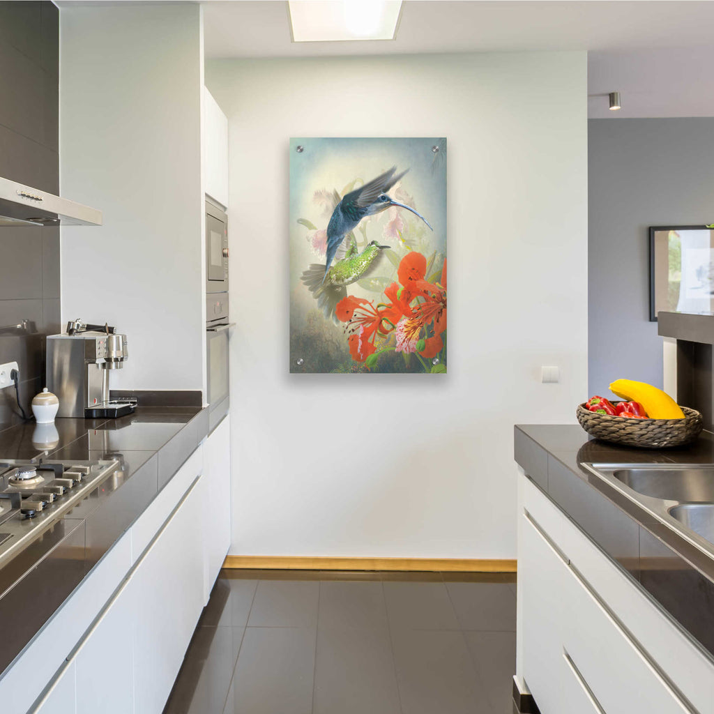 Epic Art 'Hummingbird Cycle II' by Steve Hunziker, Acrylic Glass Wall Art,24x36