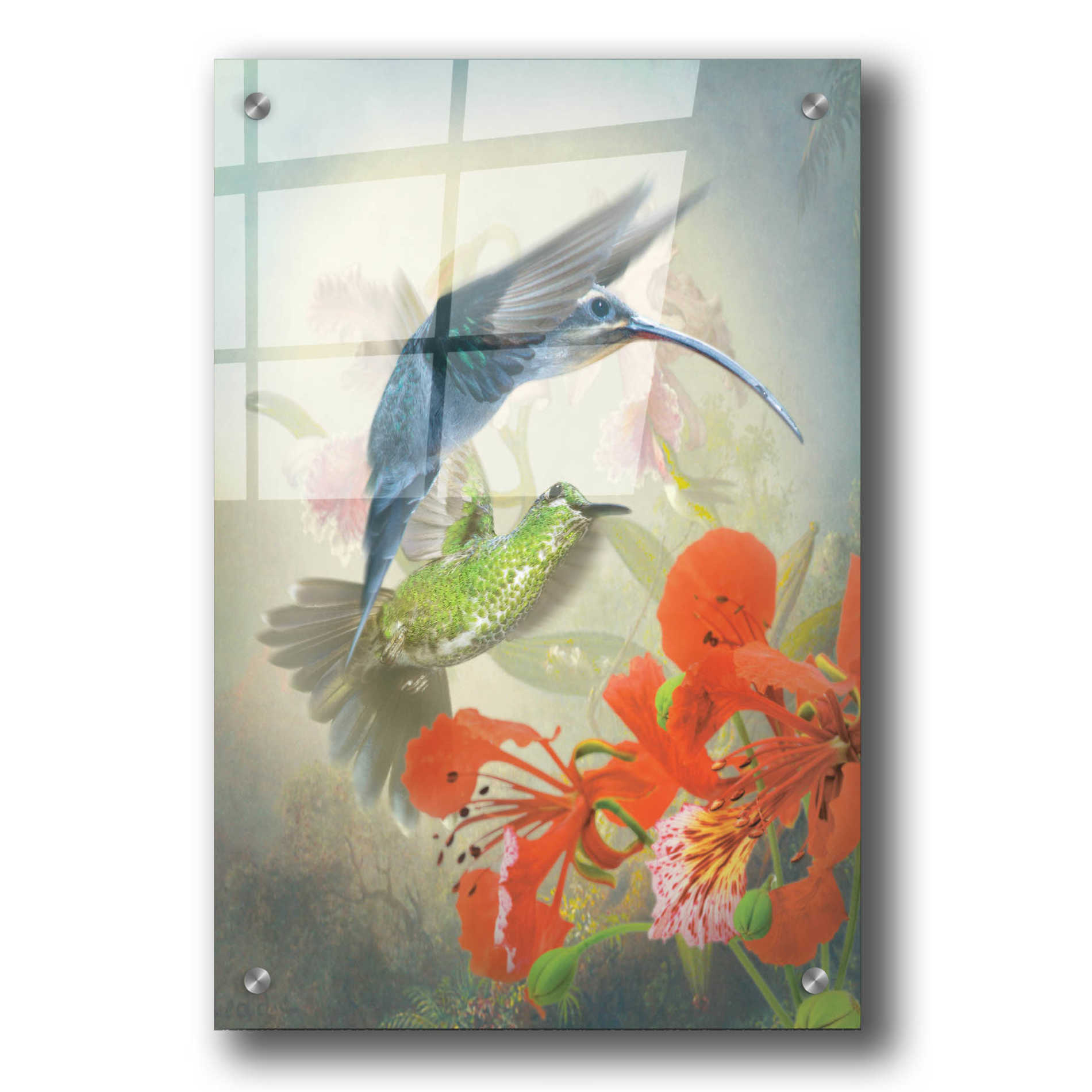 Epic Art 'Hummingbird Cycle II' by Steve Hunziker, Acrylic Glass Wall Art,24x36