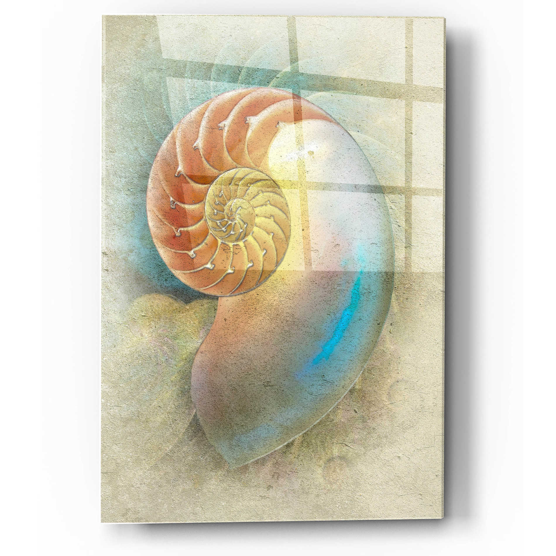 Epic Art 'Aquatica II' by Steve Hunziker, Acrylic Glass Wall Art,12x16